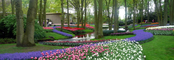 Sightseeing Nature Tour in Brussels